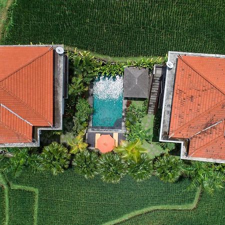 Cenik Villa Ubud Kültér fotó