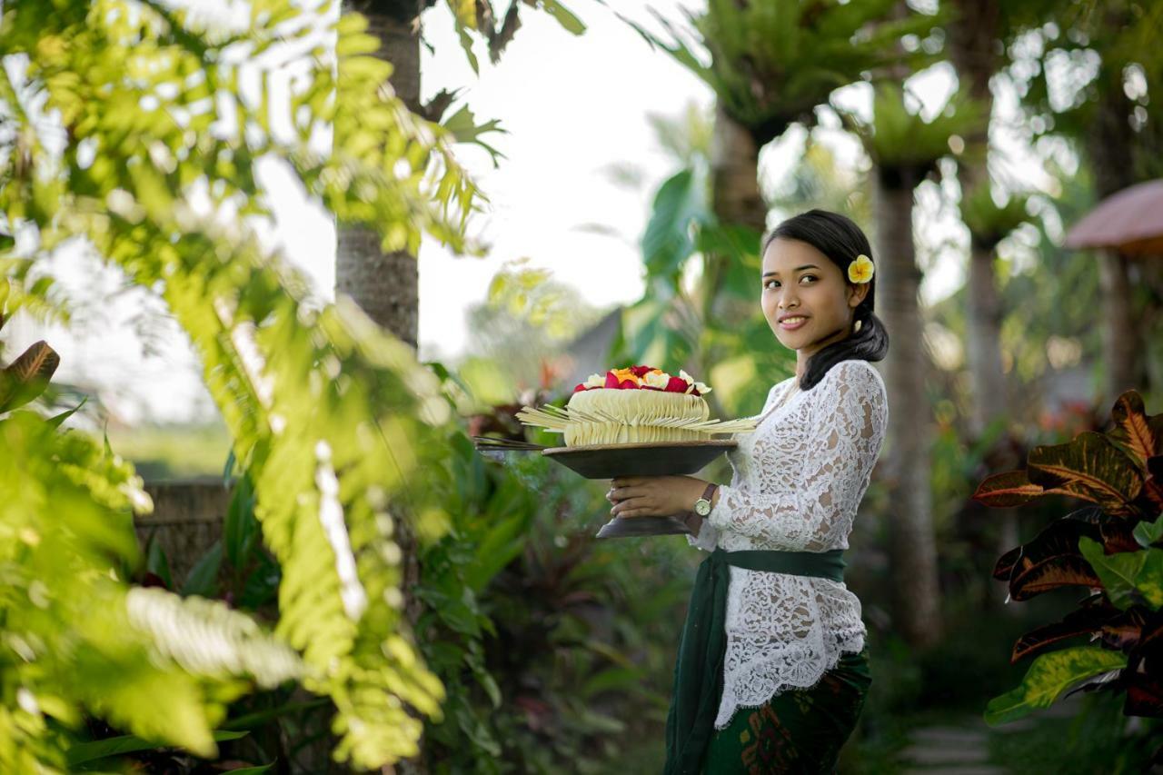 Cenik Villa Ubud Kültér fotó