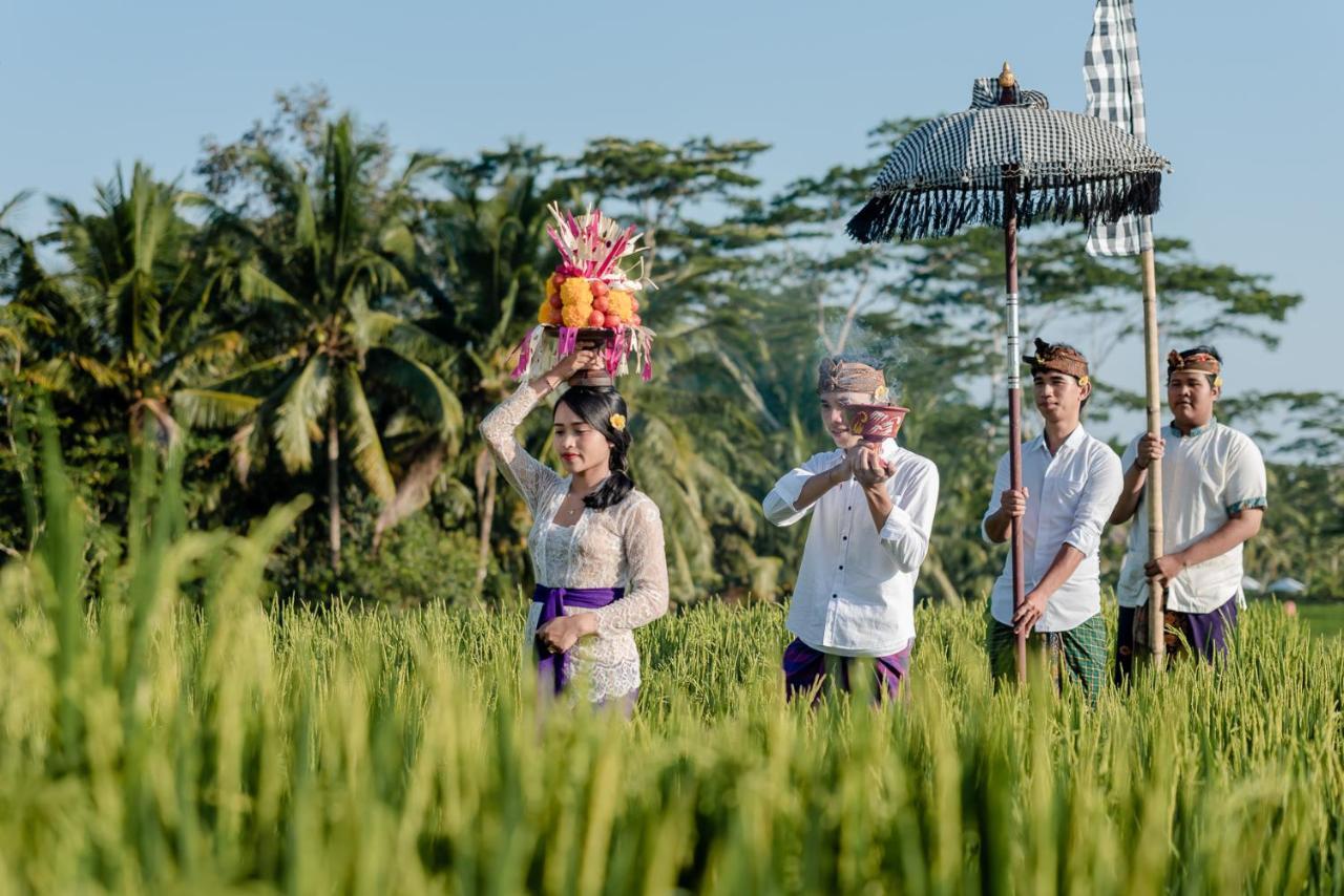 Cenik Villa Ubud Kültér fotó
