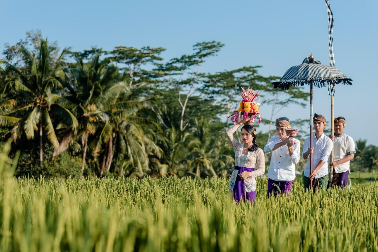 Cenik Villa Ubud Kültér fotó